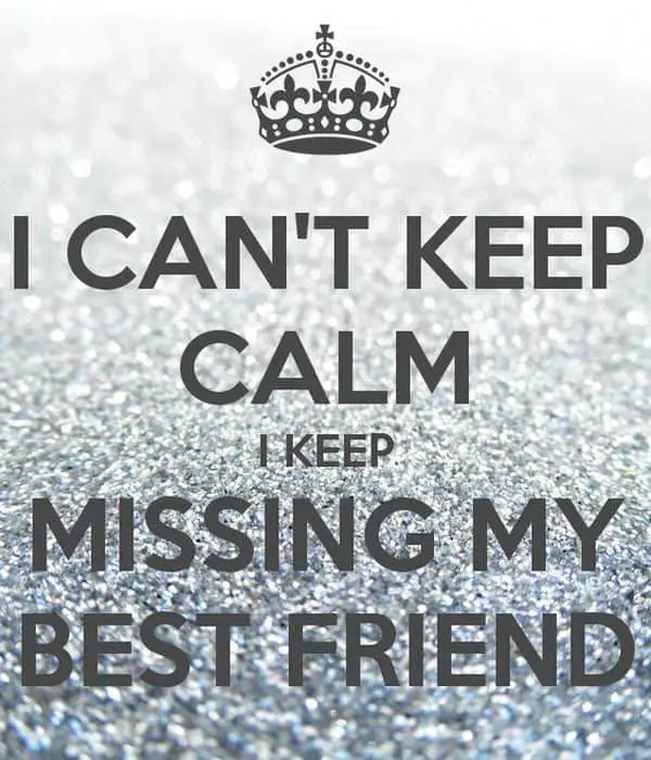 funny miss you meme for best friend