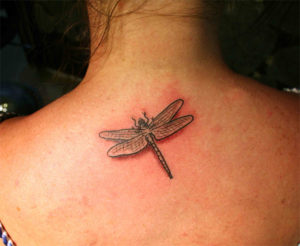 Amazing Pictures of Dragonfly Tattoos – SheIdeas