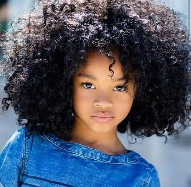 15 Cool Afro Hairstyles Pictures for Ladies - SheIdeas