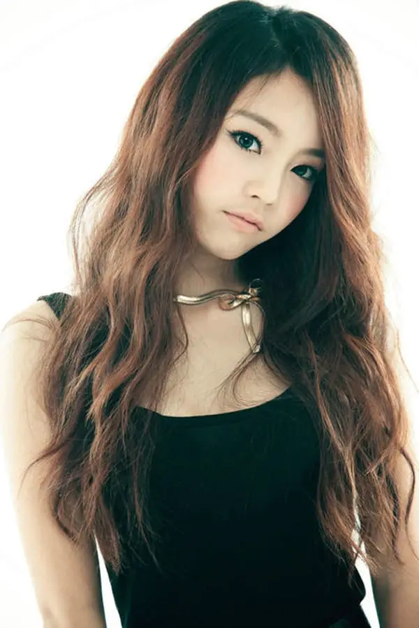 2015 Long Hairstyles Korean