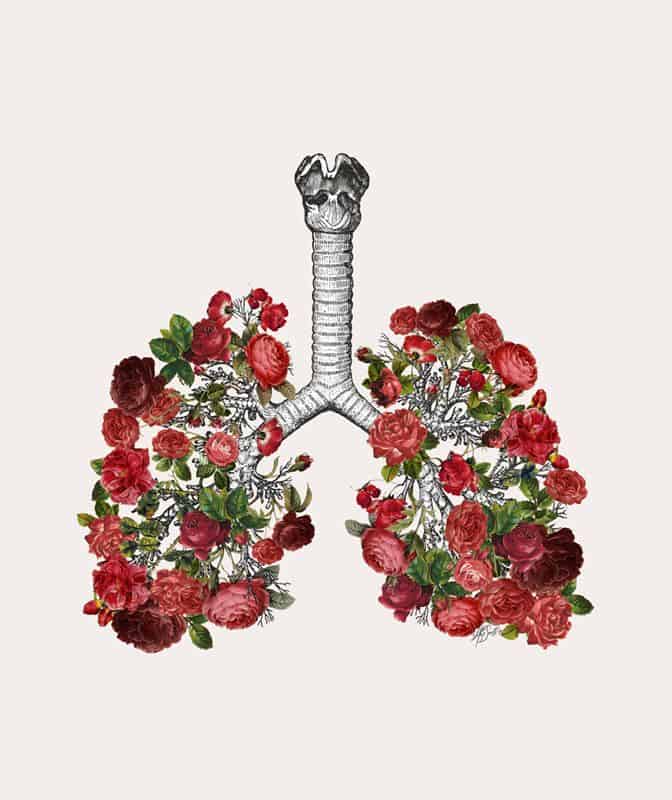 lung with flowers