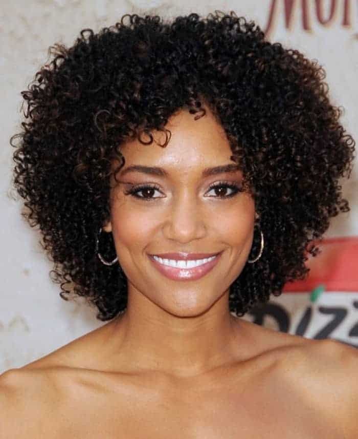 20 Interesting Short Curly Braids Hairstyles SheIdeas