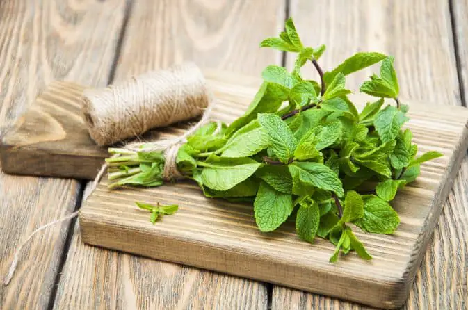 Health Benefits of Peppermint Leaves