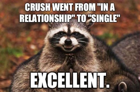 hilarious relationship memes