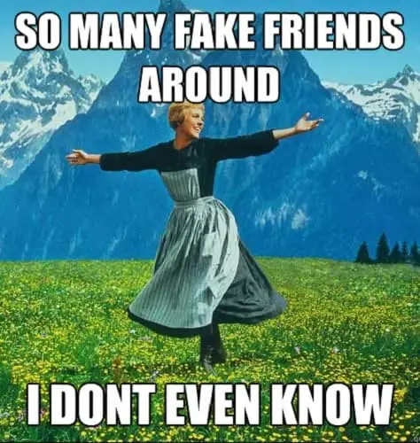 funny fake friend meme to laugh