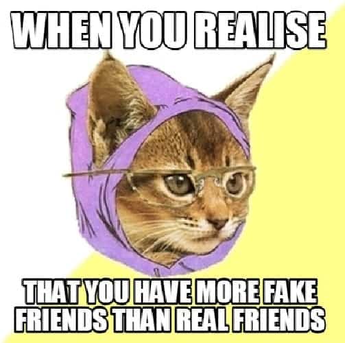 fake friend meme funny