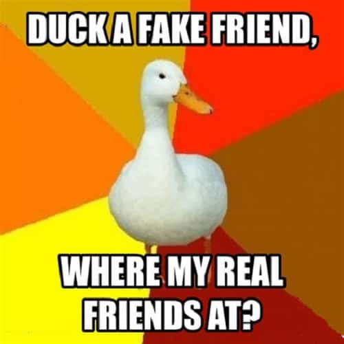 common fake friend memes