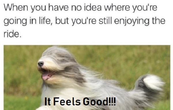 40 Feels Good Memes to Showcase Just How Satisfied You Are