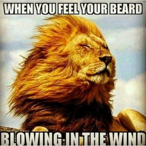 40 Feels Good Memes to Showcase Just How Satisfied You Are