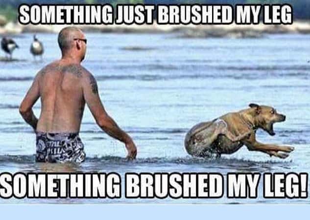 funny beach memes