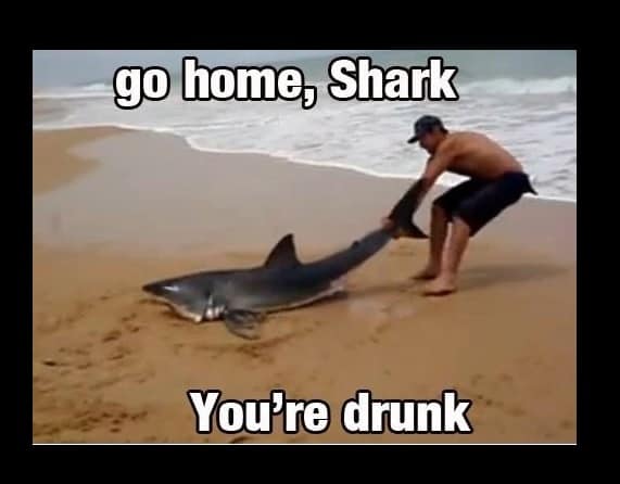 funny beach memes that make you laugh 