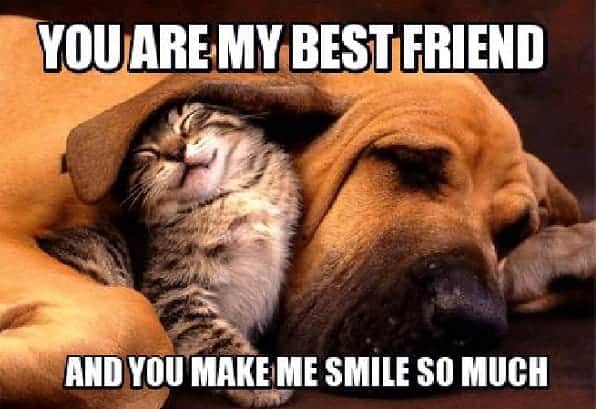 hilarious best friend memes