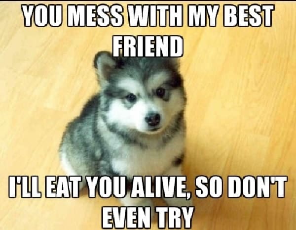 funny memes for best friend