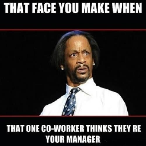 Top 30 Coworker Memes to Share with Your Colleagues SheIdeas