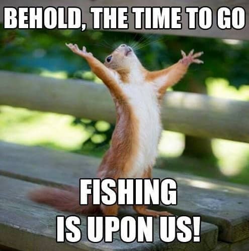 30 Funny Fishing Memes for Guaranteed Giggle – SheIdeas