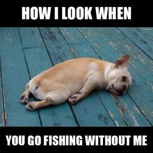 fishing memes to laugh