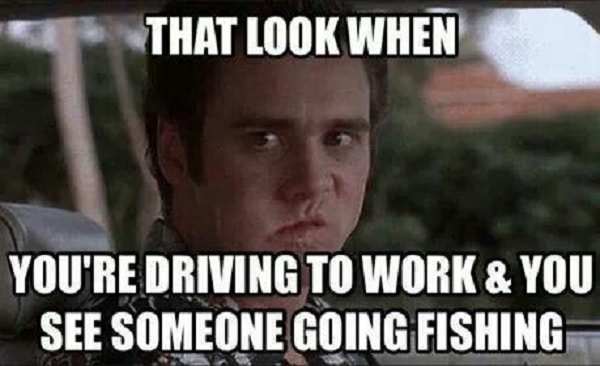 funny fishing memes to laugh