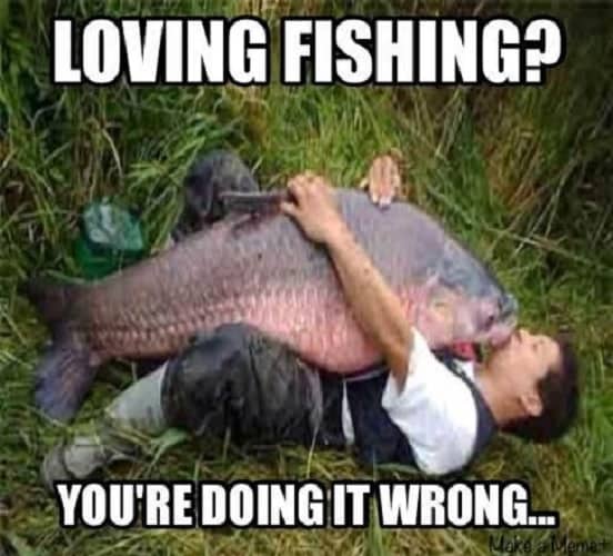 funny fishing memes