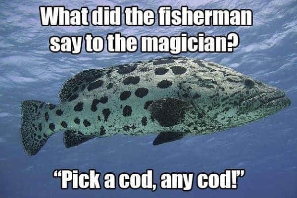 funny fishing memes