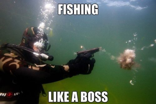 30 Funny Fishing Memes for Guaranteed Giggle