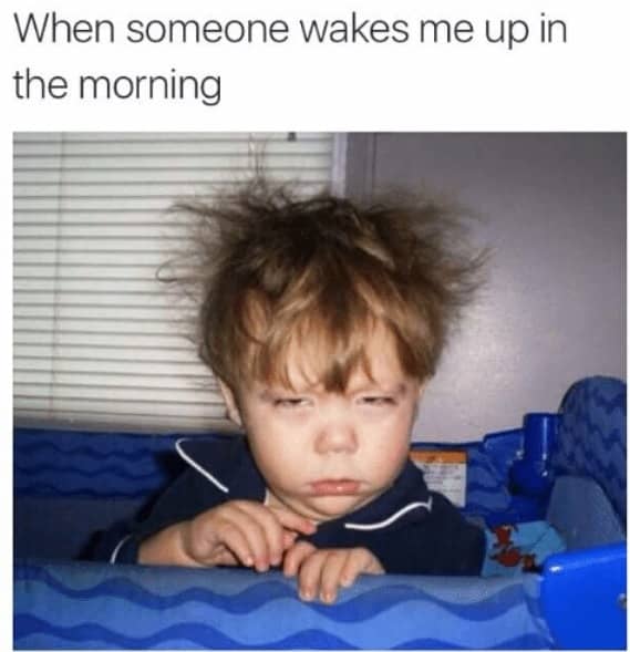 50 Funny Good Morning Memes For Kick Ass Mornings Sheideas