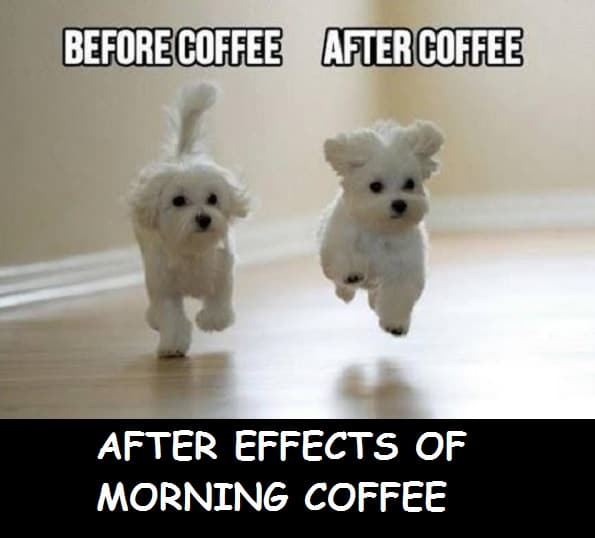 best funny good morning memes