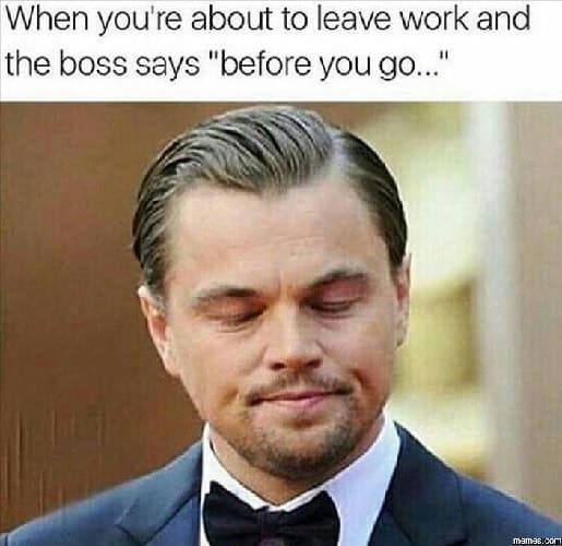 30 Funny Office Memes to Share with Your Coworker – SheIdeas