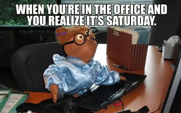 funny office meme