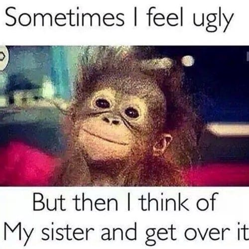 funny sister memes to lol