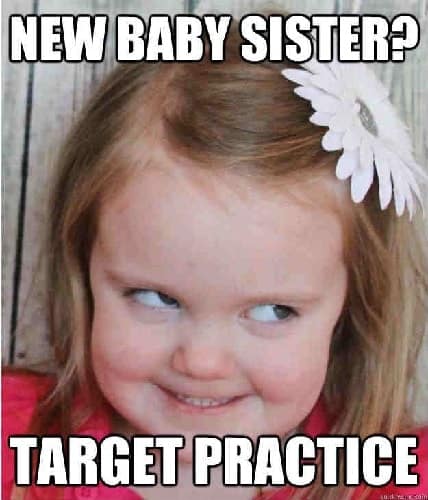 30 Funny Sister Memes For Classic Sibling Amusements – Sheideas