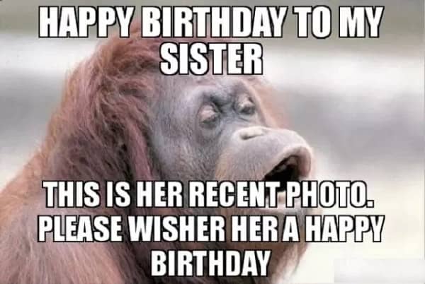 30 Funny Sister Memes For Classic Sibling Amusements Sheideas