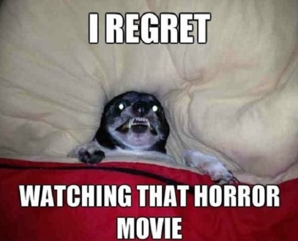 Horror Movie Memes To Appreciate The Fear Of Scary Films