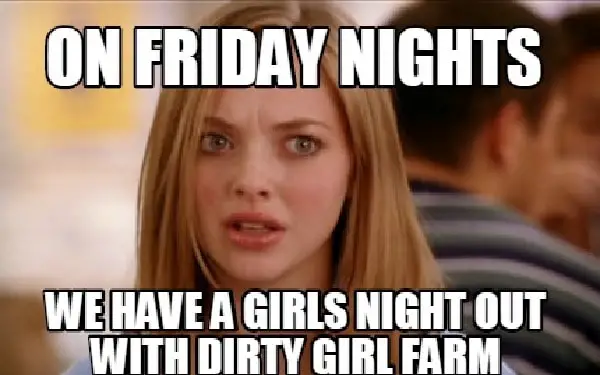 Funny Memes About Mean Girls