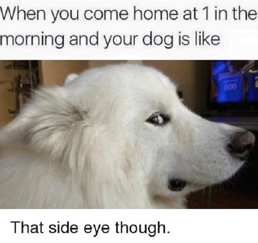 funniest side eye meme