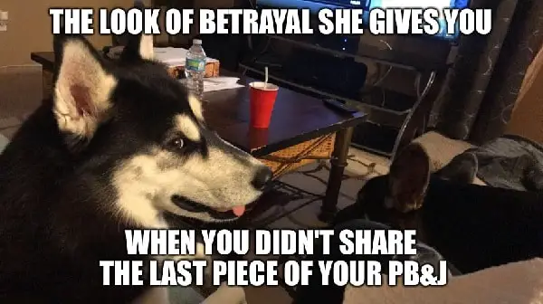 shareable side eye memes