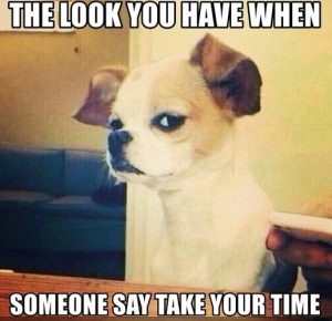 50 Hysterical Side Eye Memes That Everybody Can Relate – SheIdeas