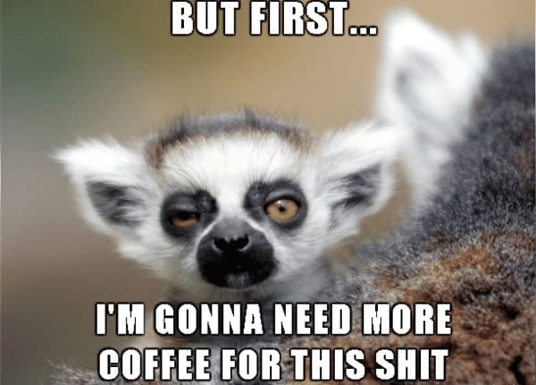 memes regarding I need more coffee