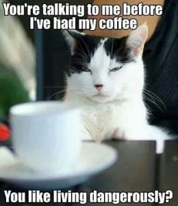 30 I Need Coffee Memes For All Coffee Lovers SheIdeas I Need Coffee Meme 28 260x300
