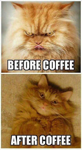 popular I need coffee memes