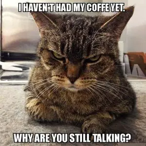 30 I Need Coffee Memes for All Coffee Lovers – SheIdeas