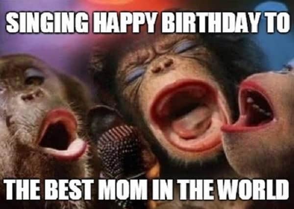 best mom birthday meme