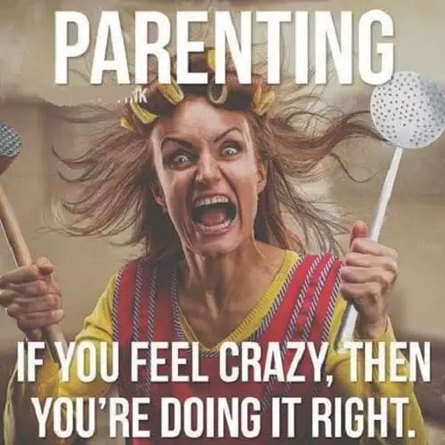 funny meme for your crazy mom