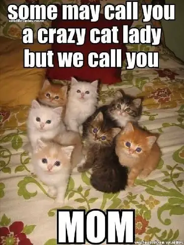 popular memes for crazy mom