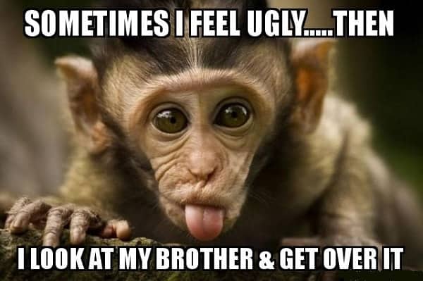 30 Funny Brother Memes Every Siblings Can Relate To Sheideas