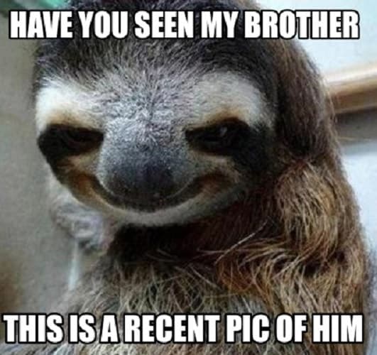 30 Funny Brother Memes Every Siblings Can Relate To – SheIdeas