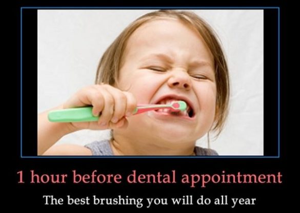 Top 30 Funny Dental Memes – SheIdeas