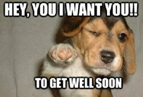 20 Funny Get Well Memes to Make You Feel Better – SheIdeas