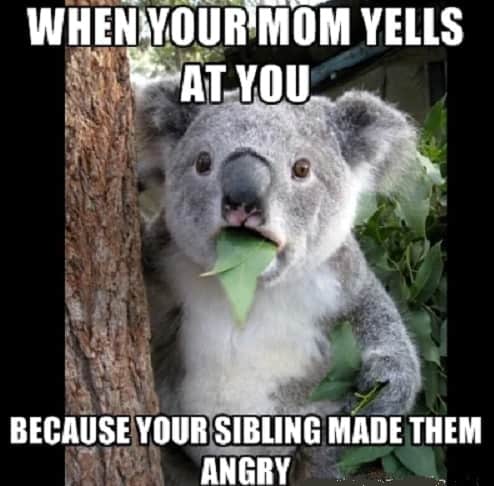 funny memes regarding siblings