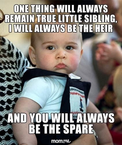 pin-by-kat-farr-on-ha-siblings-funny-funny-comebacks-sibling-memes