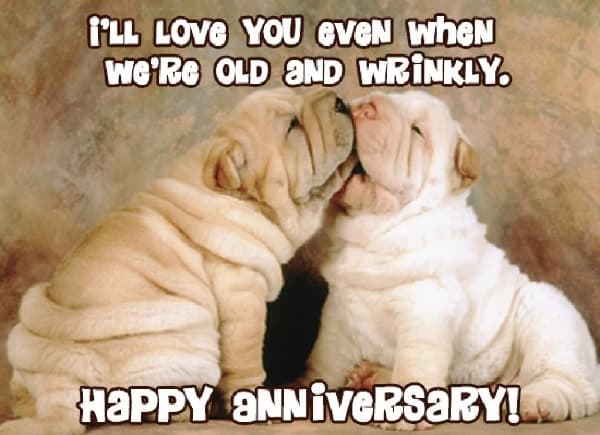 Top 20 Funny Happy Anniversary Memes - SheIdeas